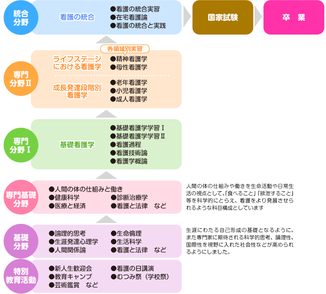 カリキュラムの概要